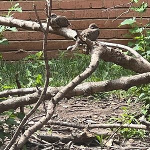 Meet your Posher, Dee